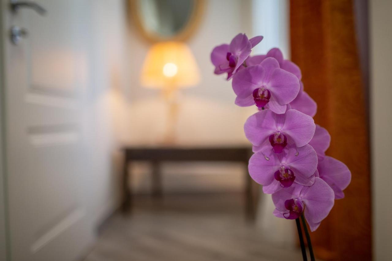 Saint Joseph Hotell Livorno Eksteriør bilde